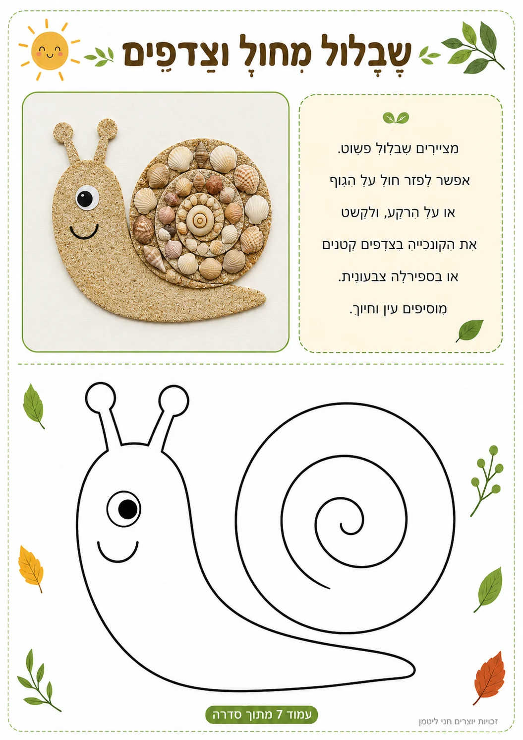 שבלול מחול וצדפים